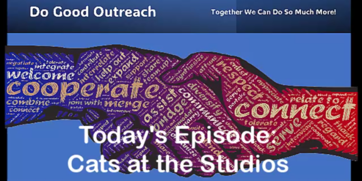 Do Good Outreach – Episode 2 Cats at the Studios